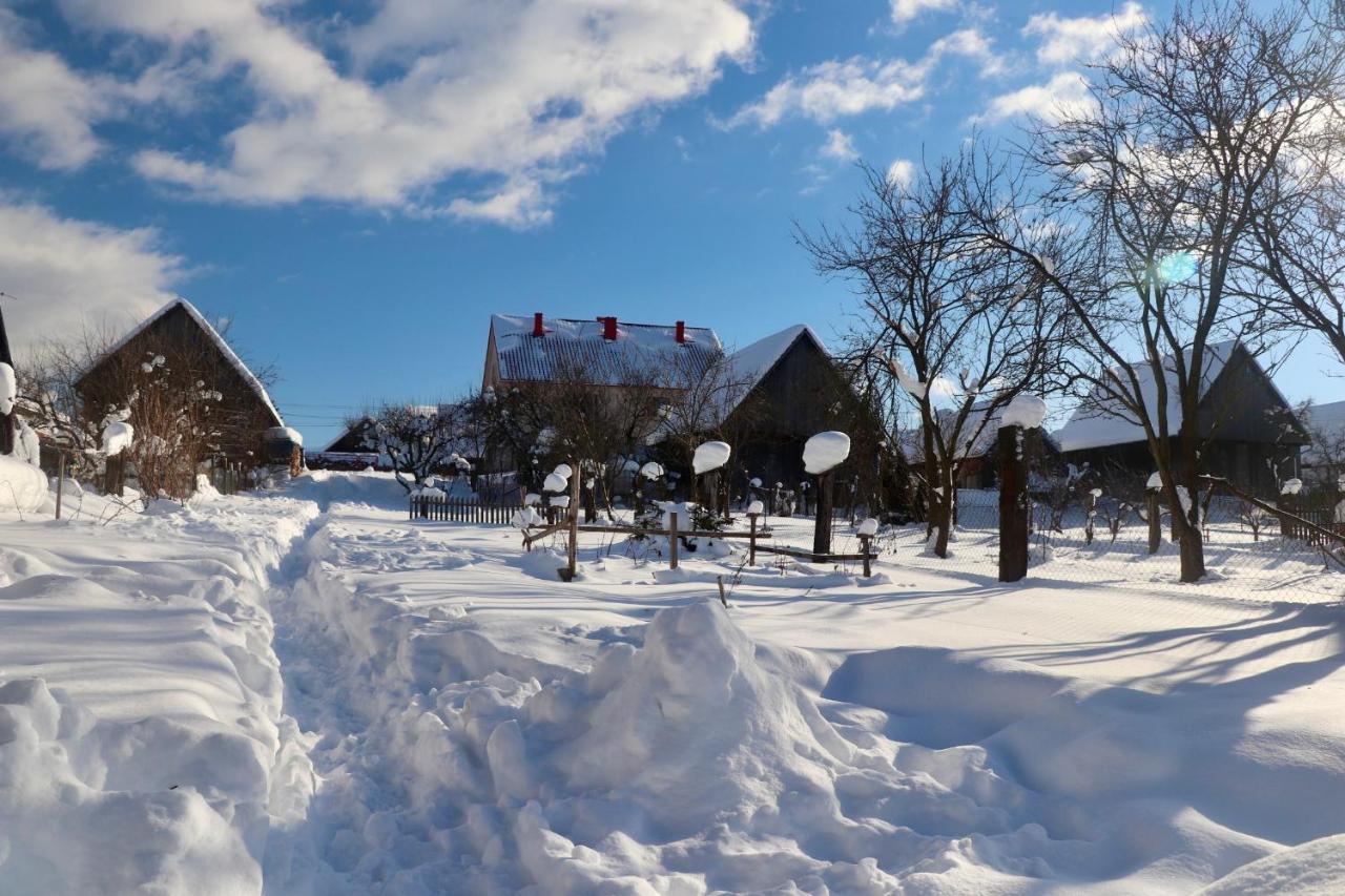 Hybe Hybsky Dom Est 1905ヴィラ エクステリア 写真